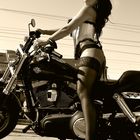 Hot Harley Girl