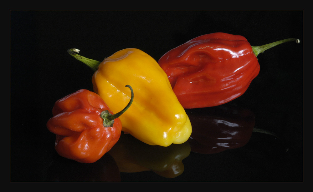 Hot Pepper