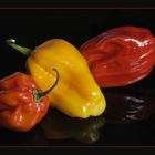 Hot Pepper