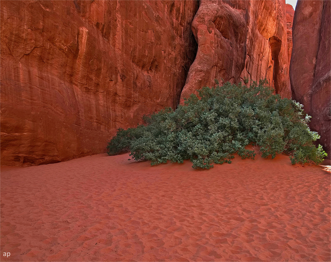 hot sand & cool green