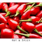 Hot & Spicy