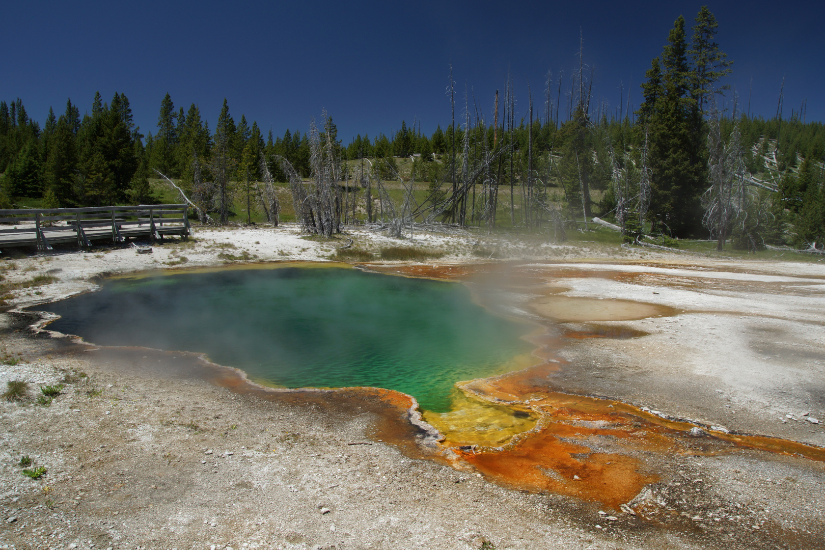 Hot Spring Pool im Yellowstone N.P.