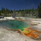 Hot Spring Pool im Yellowstone N.P.