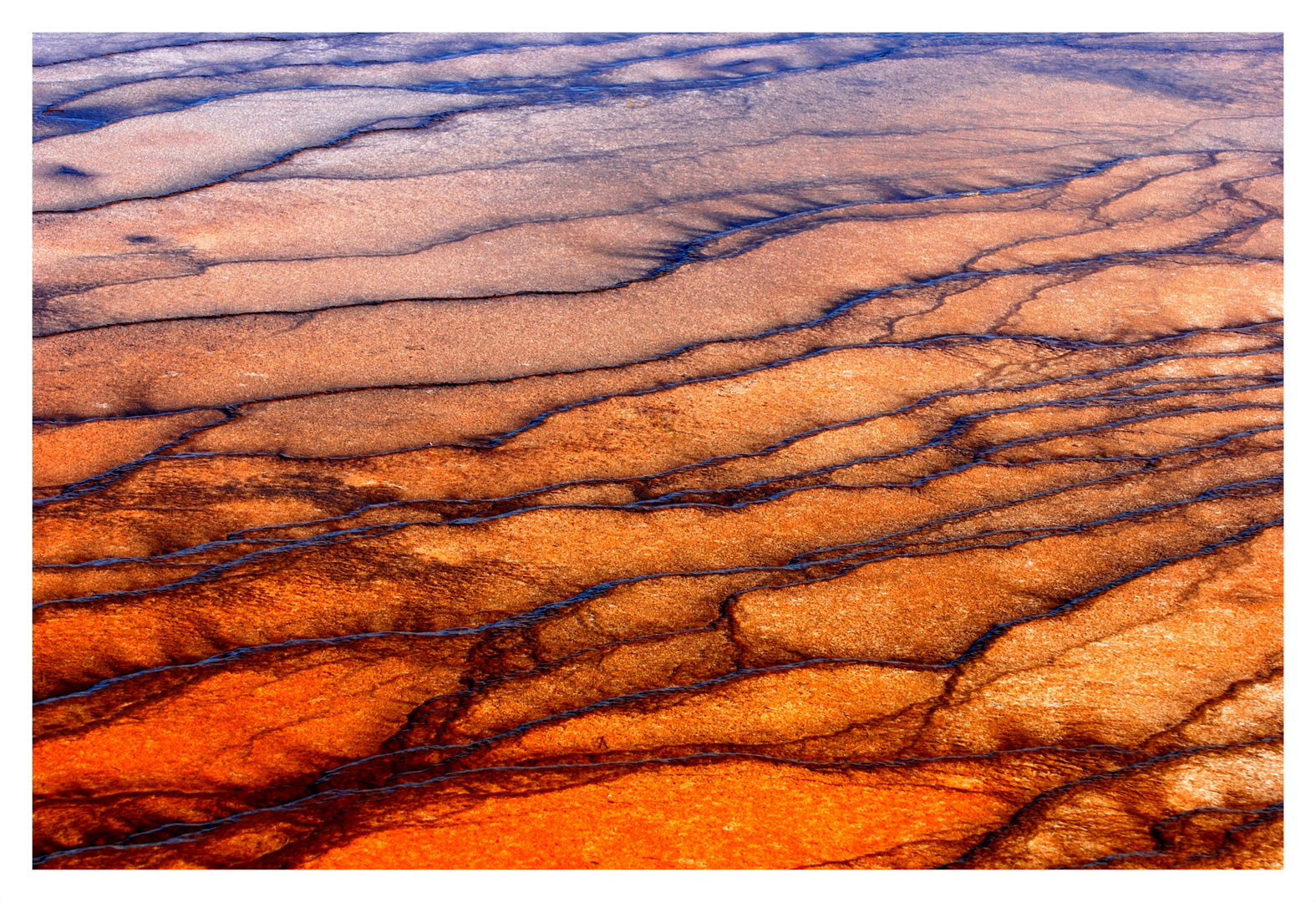 Hot Spring Terrace II