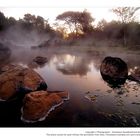 Hot Spring : Thailand