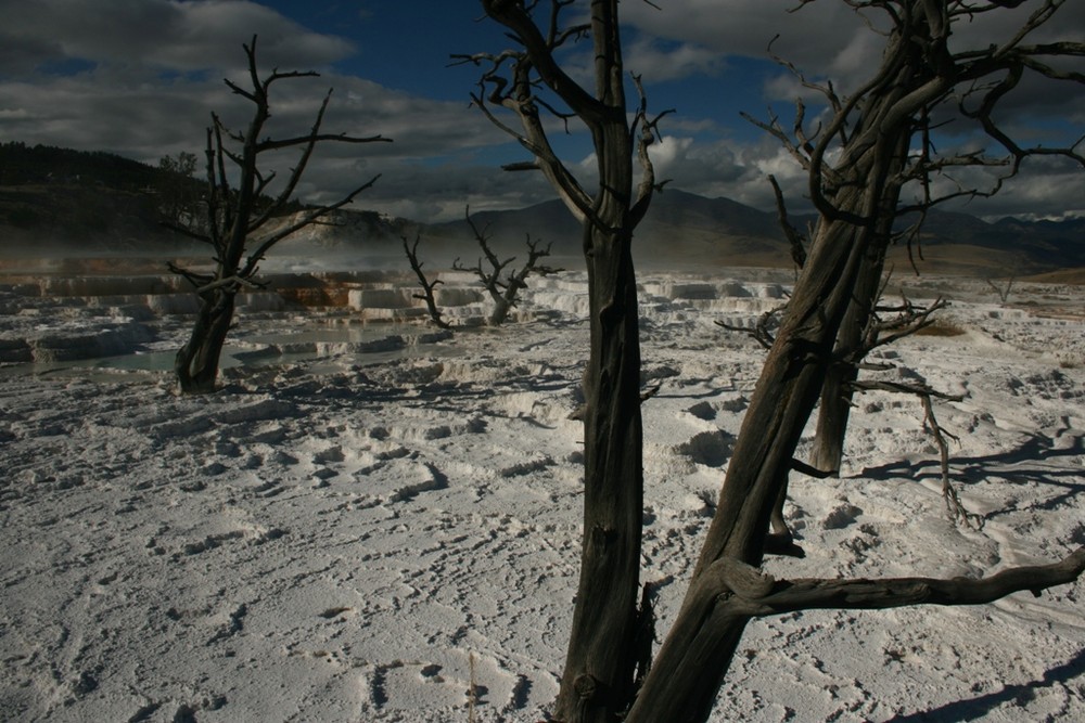 Hot Springs Moonscape