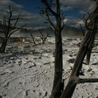 Hot Springs Moonscape