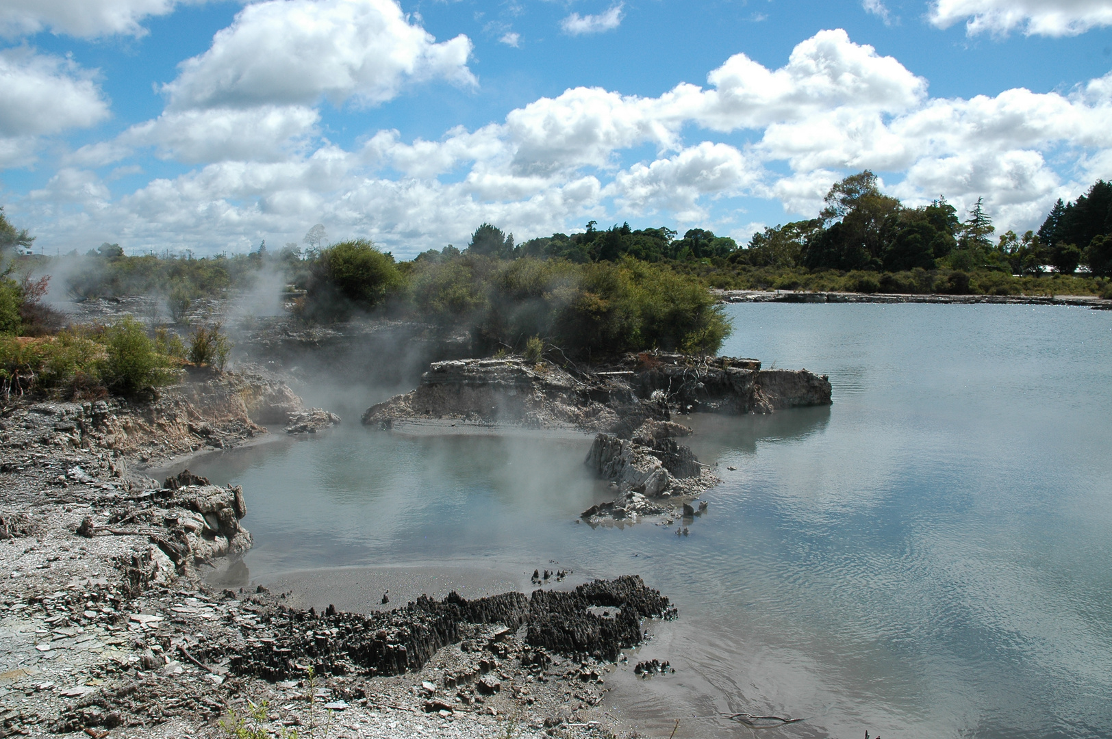 hot springs (Rotorua)