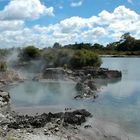 hot springs (Rotorua)