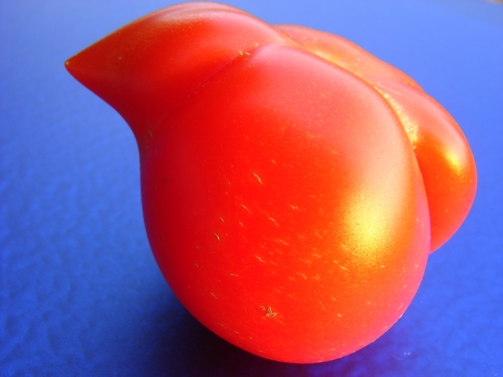 Hot Tomato