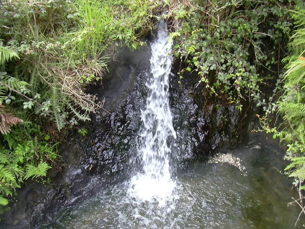 Hot-Water-Springs, kleiner Wasserfall, Neuseeland