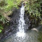 Hot-Water-Springs, kleiner Wasserfall, Neuseeland