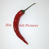 HotChiliPictures