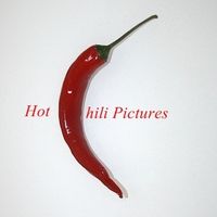 HotChiliPictures