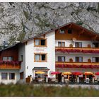 *Hotel Alpenrose*