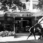 **Hotel Aurora**