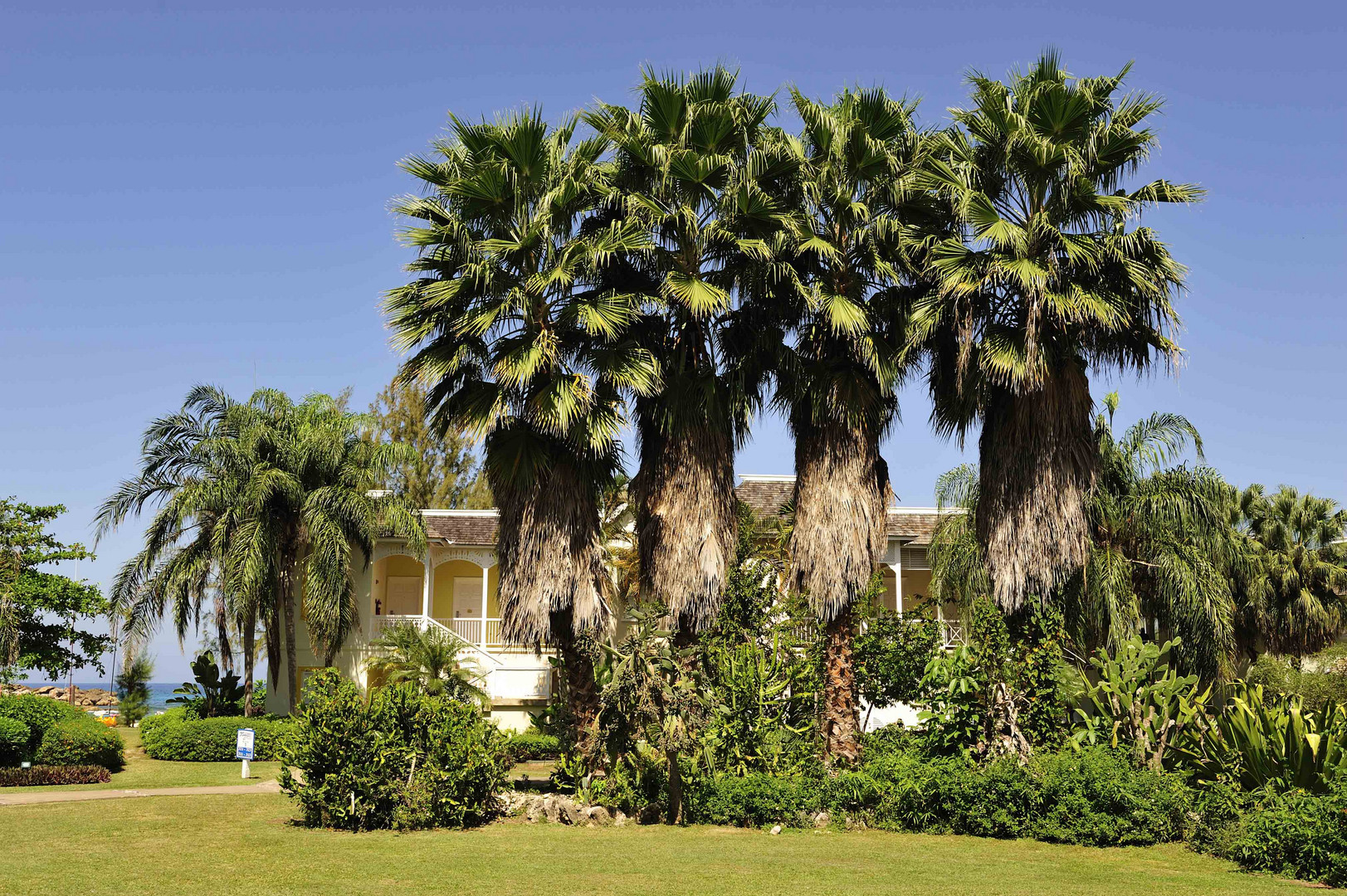 Hotel Breezes Grand Lido Braco in Rio Bueno