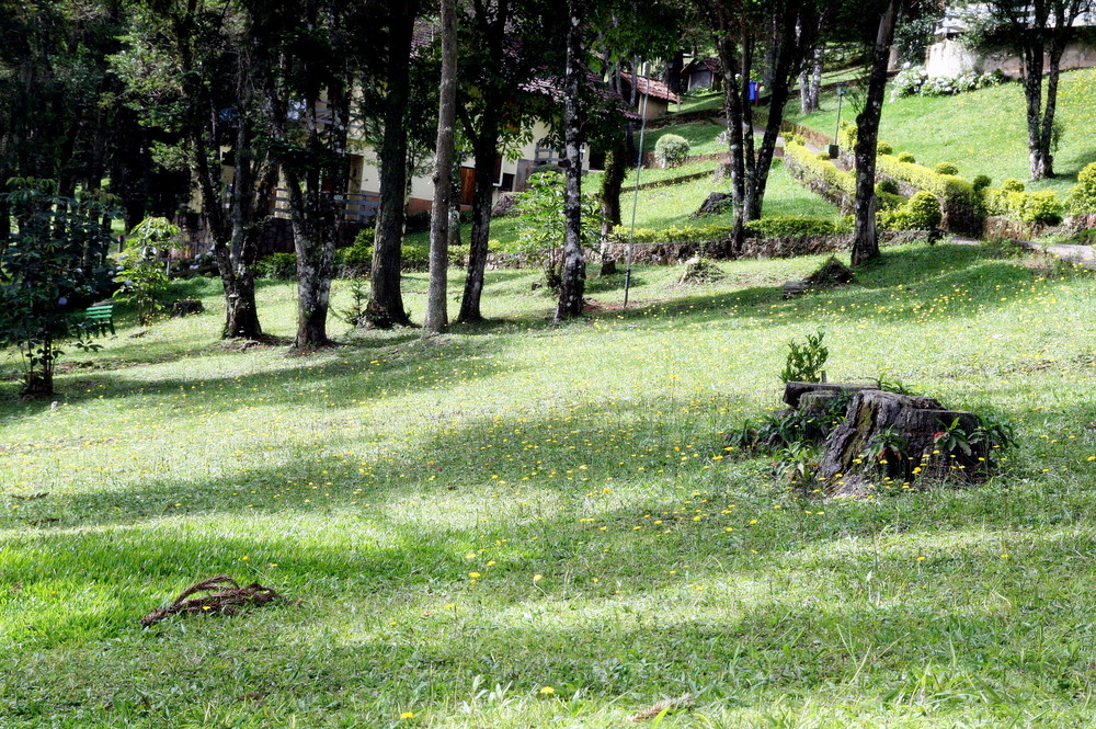 Hotel Cabeça de Boi - Monte Verde - MG