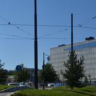 Hotel Clarion on left and right is new wood house