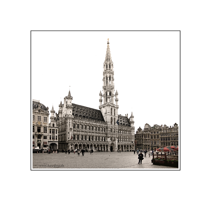 Hôtel de Ville / Stadhuis