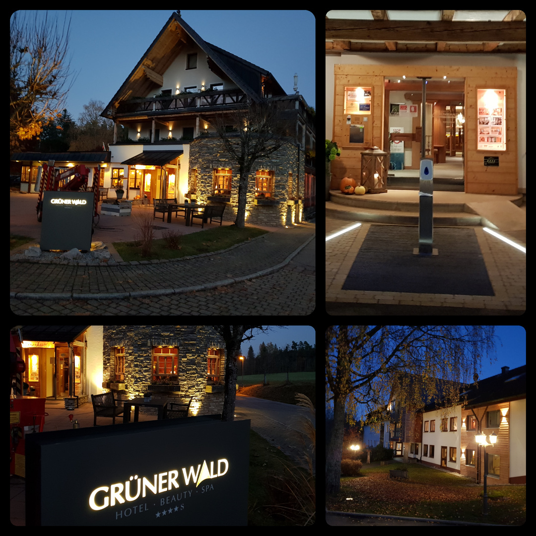 Hotel Grüner Wald Freudenstadt Lauterbad 