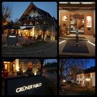 Hotel Grüner Wald Freudenstadt Lauterbad 