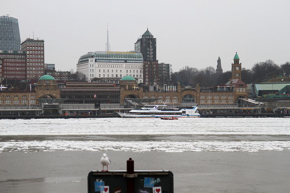 Hotel Hafen Hamburg mit Möwe