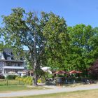 Hotel Hitthim , Kloster insel Hiddensee 