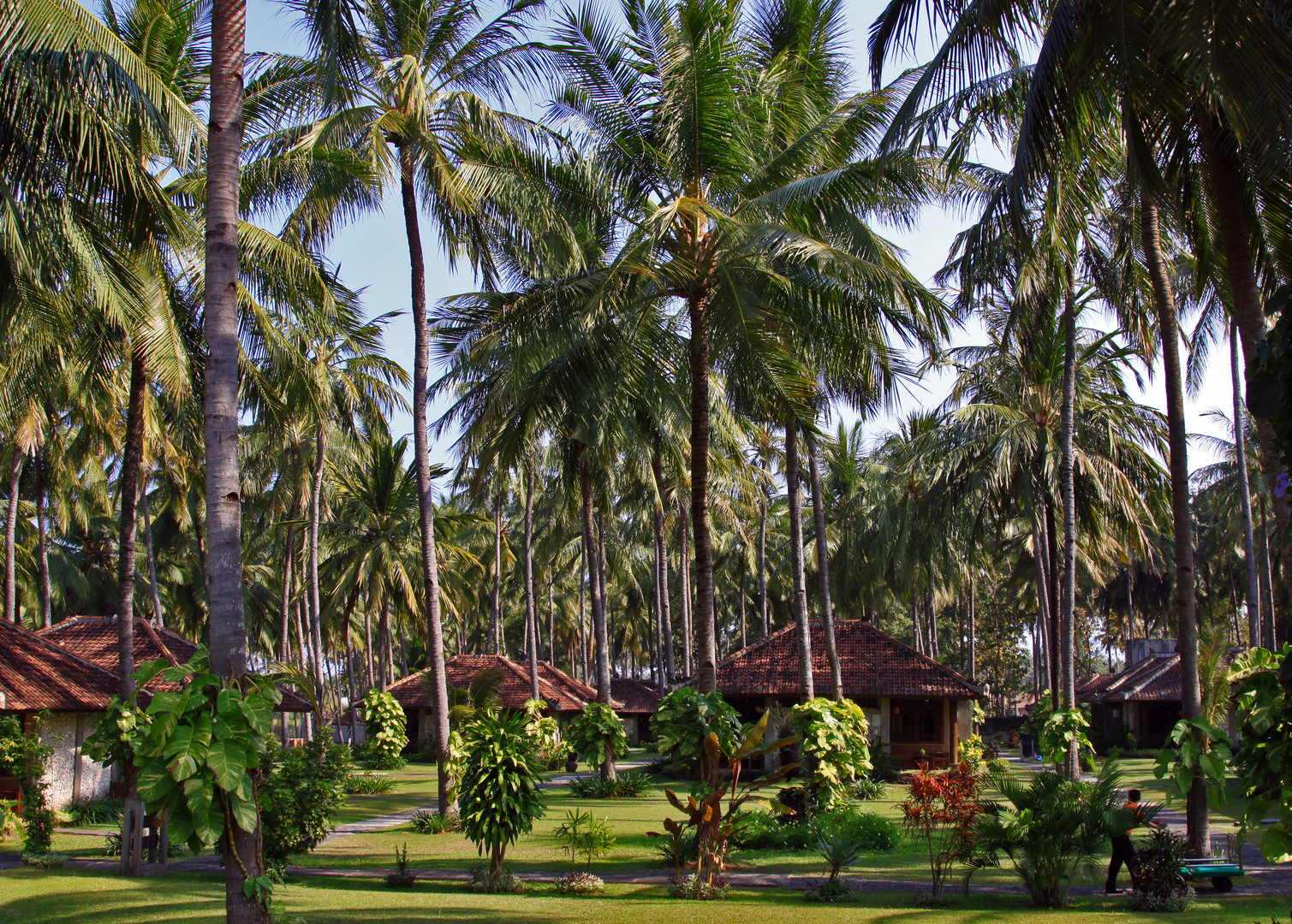 Hotel Ketapang Indah Java