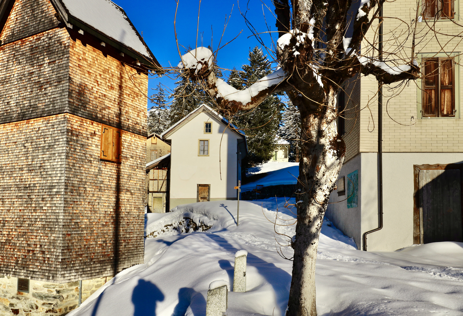 Hotel , Maderanertal