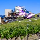 Hotel Marqués de Riscal