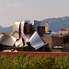 Hotel - Marques de Riscal