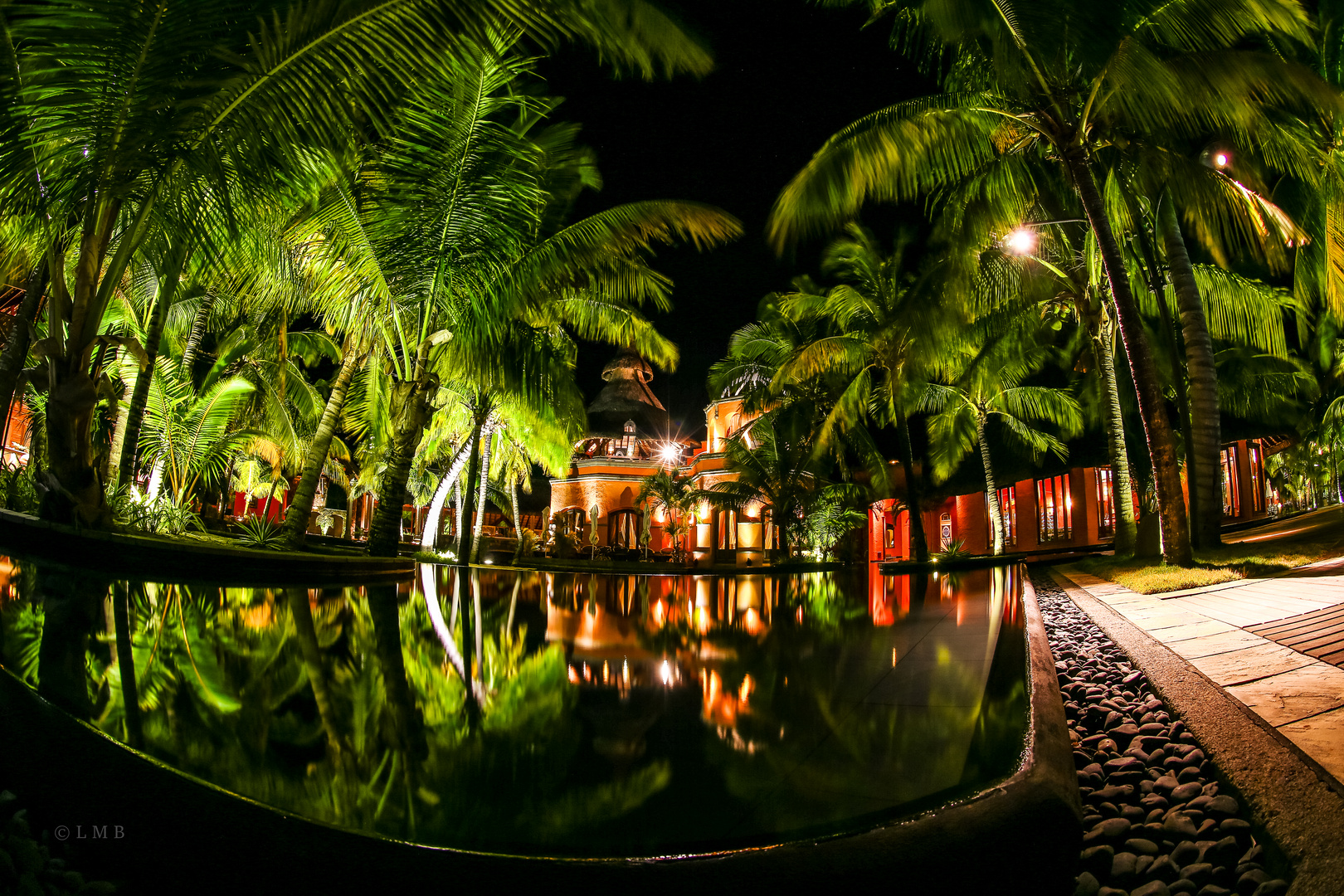 Hotel Palm Trees at Night