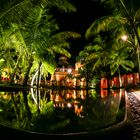 Hotel Palm Trees at Night