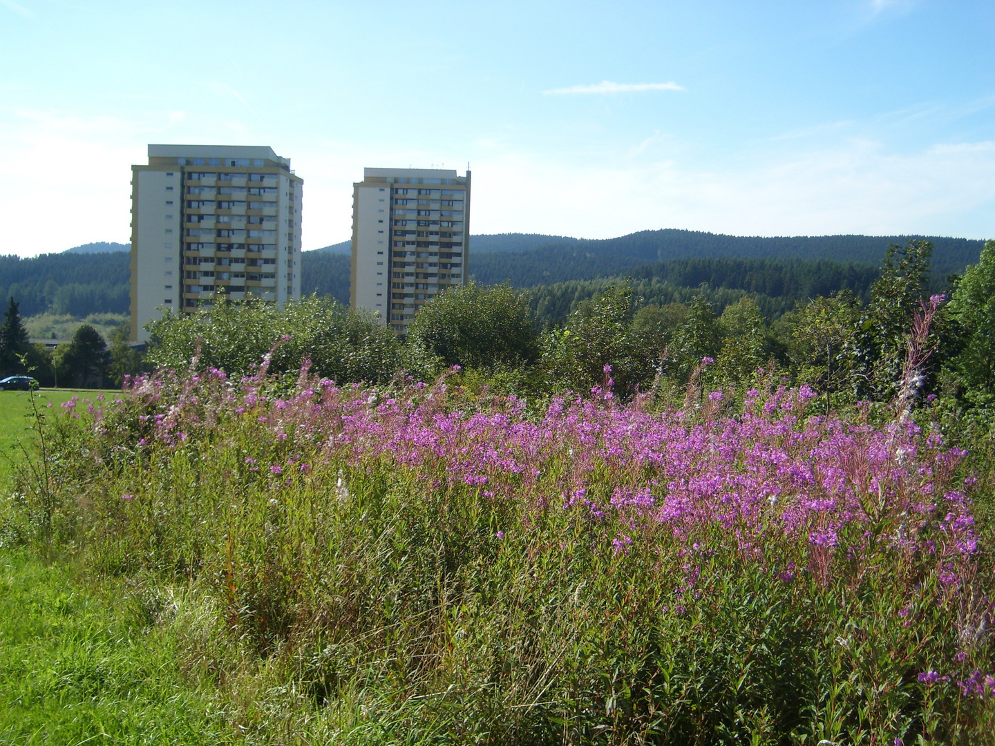 Hotel Panoramic in Braunlage Hohegeiß