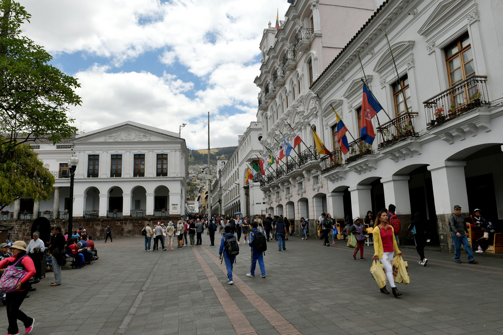 Hotel Plaza Grande