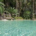 Hotel Ramada Plaza Nouméa - Vue sur la piscine cristalline et le jardin.