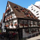 Hotel Schiefes Haus