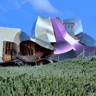 Hotel von Frank O. Gehry