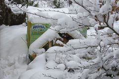 hotel zur wilden hummel, besetzt mit schnee