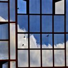 Hotelfront verspiegelt- Himmel,Wolken&Vögel....