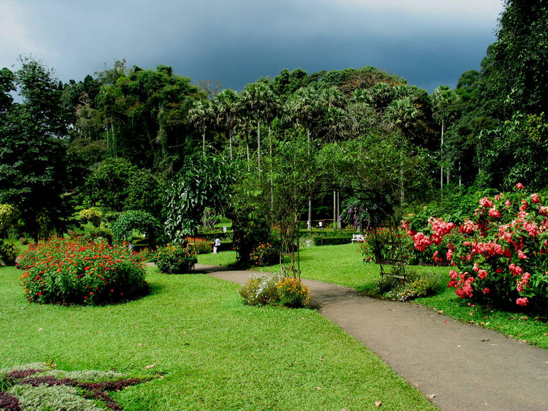 Hotelgarten in Sri Lanka