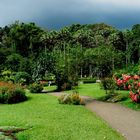 Hotelgarten in Sri Lanka