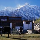 Hotelgarten - Nanga Parbat Hotel