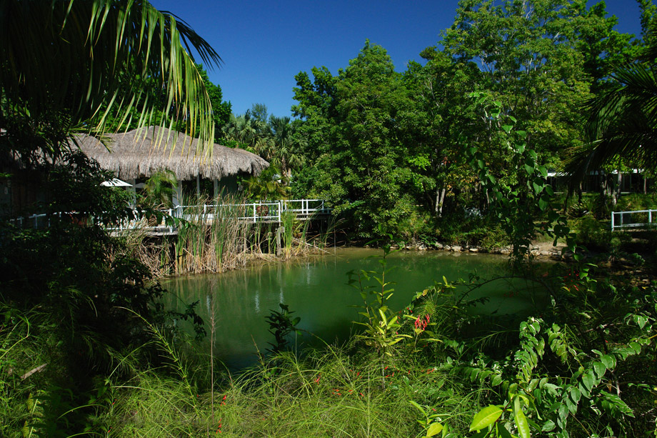 Hotelgelände Couples-Negril / Jamaica