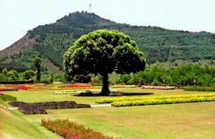 Hotelpark in Srinagar, Kashmir