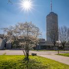 Hotelturm mit Sonnenstern