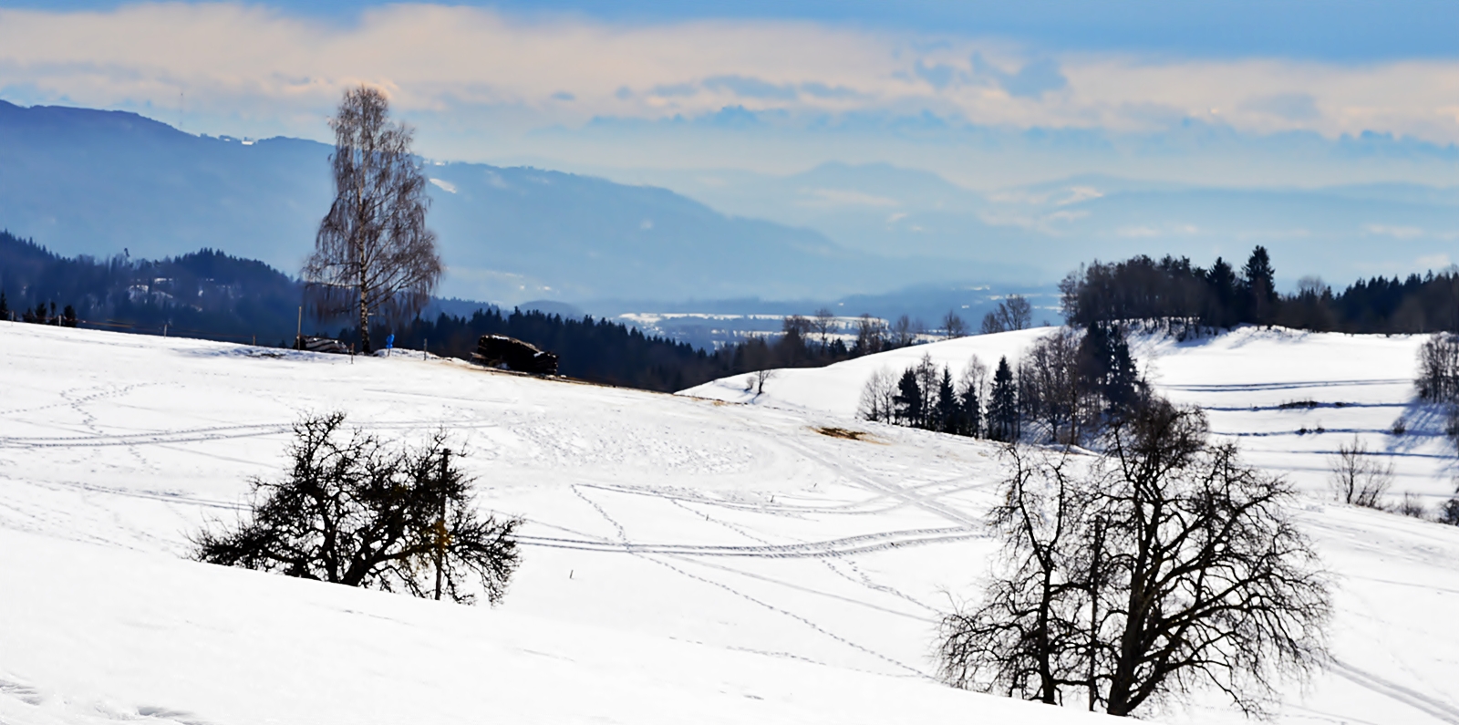 Hotzenwaldblick