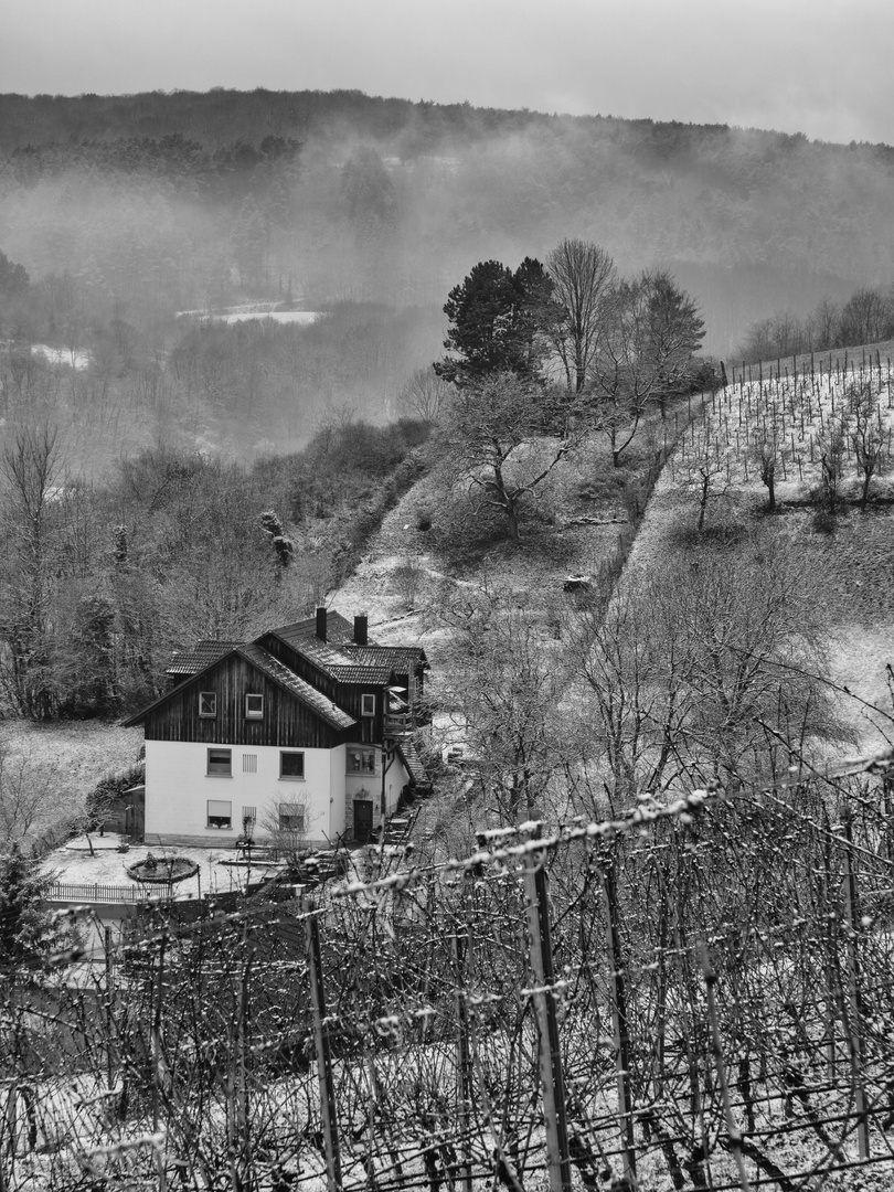 House and Hill