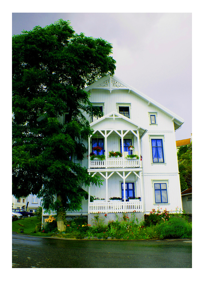 House and Tree